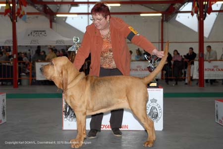 gal/Expo_janvier_2008/zoom (83).jpg